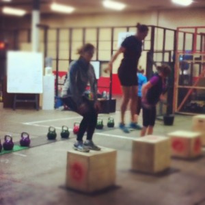 Hannah, Pots and Bridget box jumping